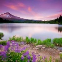 23914053dea4c1cf8bb0a1ebe136a2620f4c0efc