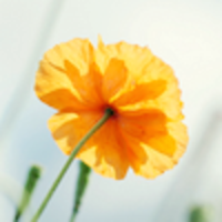 Ef6314347d32451379ee11b72a86410c51b51452