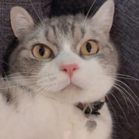 C3236efbef87c2e750b3871627714c24405465b0