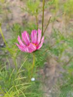 D5cb0ad95bde2eaca4e7a0656bc8a857d3fde7cd