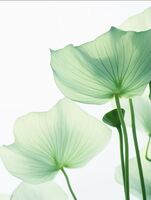 3a5420f28d9de80f915aed37d03ed00d83cfa46b