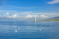 2c4c2d63121c1996e195ff66037e1139e6900ad7