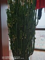 2c1d7ca16f8bc798f1432b1f26c2196f763f25bf