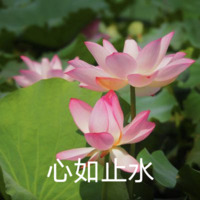 2bf5088f096c5999abc1c5bcd35236a31cbda0c6