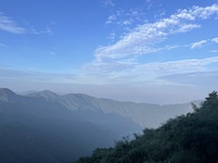 009d4f9d9f3d188b6d4369195d6f1ac18f81f384