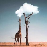 3b956c9f26358e93652e7cba96c2283e479849fa