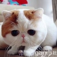 C5e9d7ac42bf738b6fdd2c643b42cd0cbe5f6c37