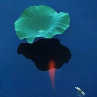 48641d7a1c96f84ae05459e85b103b37a8d0f288