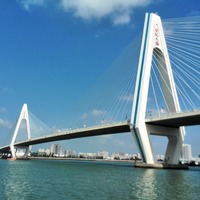 16997d923e3cdcc8cb8e70129e28e41f497fcbf8