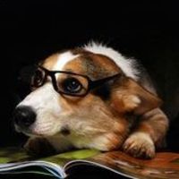 0112f0fdc2804567224b1bf9ab7420da9151e2cb