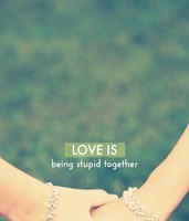 1137a423cb063d11279667edf7d731d36628b88e