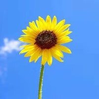 7d8fe764e249ef711e7940f960dd6acb6a50d7bd