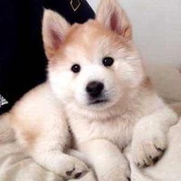 Cbc463335206f4f6e56a1ef687ec1e510c955e73