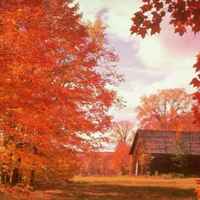 1e951f1d2641312fa1916200bf35c6c38a92f886