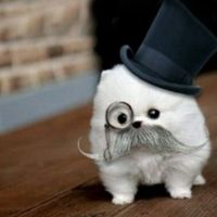 A6a2bf87e9b0f5cd6d8b2742c025d6a01a9d7fe1