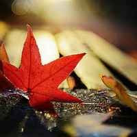 4efdbb31acf1a72fd8dc2f302a3a39f8b9f3a9aa