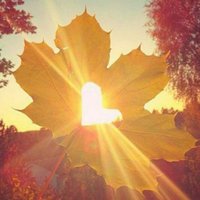 D81a7d7e43a3318a7c19b3419128bcc967472068