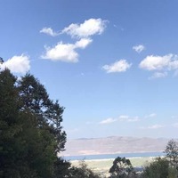 A1ce1ee59b54813714a9f34d0ecdc100f3a7a079