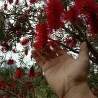 478b99110e8f5b3eb543a52fa5e77767eff3f698