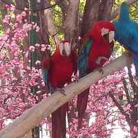 830016c95cc43bcdca334f21b4bd6737f1459b14