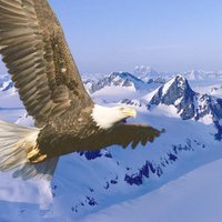 16e2f5a8edb118bc7076b6f6b7647f5ff1cd4062