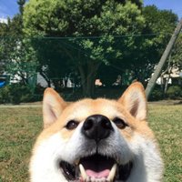 77ee2f929b5c4a75dc3c0c5a1f93151587c2ffc3