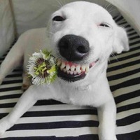 0438371e0735a0a4ab4346ea40606f5cbcd80653