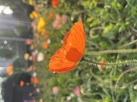 86a752487ce6c1cbab999fc1917fc8739b5b616b