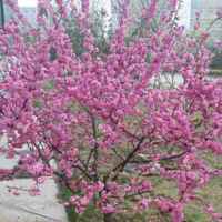 Dae8e371ae5e853e313db3a3b03345a9f14504cd