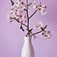 D9788209708958b985d36590b3988bc68c8ac7bf