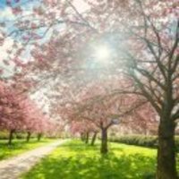 7b9f43e2cb53c91cf2202db98064bec8e1d2461b