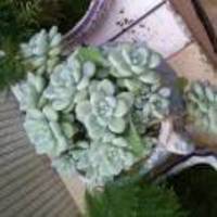 C78849c7b162f89560415b002f5824c39b8dd5e3