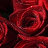 A1477e03a28c090daec8e6ca62ca64e41e9c8f1c