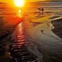 Dc472a238934a41aed5cdaa0e4d686e623648161