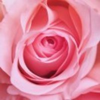 8c9758d51f64941b0a2401b1535574af8baa4e28