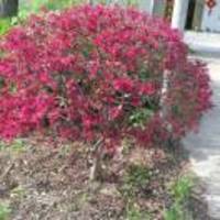 Ebef9138c933464b5c352c3fefbf666f6a9eef76