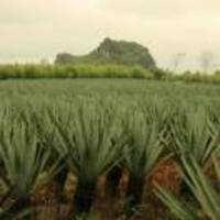 76c7477d59f3befeff0ba11b2ef00a4fb0c5e4be