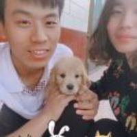 7ab966acae83f750713eb41d50e7c860e48534da