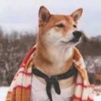 12c3c9817d740806ac973d42674b43476699d925