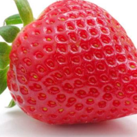 188275331038a37cf58c413b3b993a0e6f57e3a2