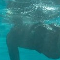 8a928bffbcc3b8b384c497a40f509a666bb9049e