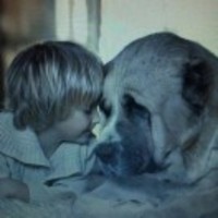 Efea843947c7775fdeda660e5751380703b81098